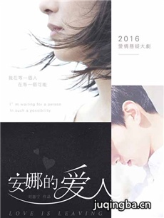 电视剧《安娜的爱人》剧情介绍(1-35全集)海报