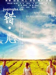 电视剧错儿剧情介绍(1-28全集)海报