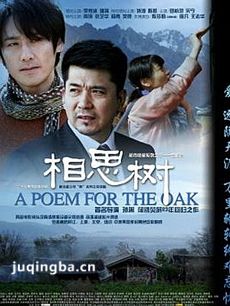 电视剧相思树剧情介绍(1-29全集)海报