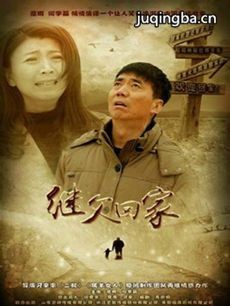 电视剧《继父回家》剧情介绍(1-42全集)海报