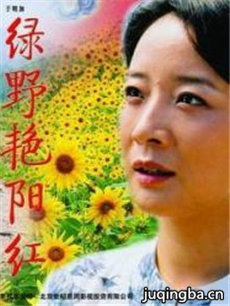绿野艳阳红剧情介绍(1-24全集)海报