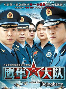 鹰隼大队剧情介绍(1-20全集)海报
