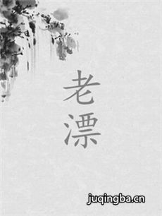 老漂剧情介绍(1-30全集)海报