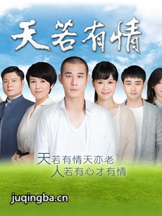 台剧《天若有情》剧情介绍(1-130全集)海报