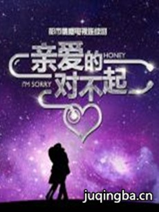 电视剧《亲爱的对不起》剧情介绍(1-30全集)海报