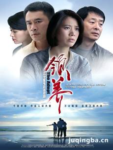 电视剧《领养》剧情介绍(1-44全集)海报