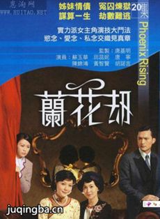 兰花劫剧情介绍(1-20集)海报