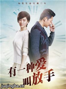 电视剧家年华剧情介绍(1-42全集)海报