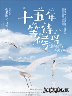 电视剧《十五年等待候鸟》剧情介绍(1-24全海报
