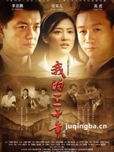 我的三十年剧情介绍(1-38全集)海报