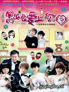 怎么会爱上你剧情介绍(1-24全集)海报