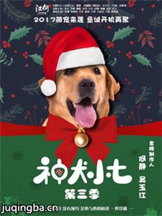 神犬小七3剧情介绍(1-45全集)海报