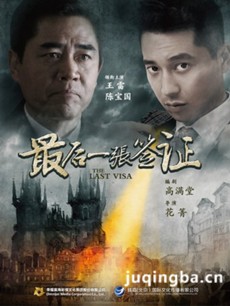 电视剧《最后一张签证》剧情介绍(1-46全集)海报