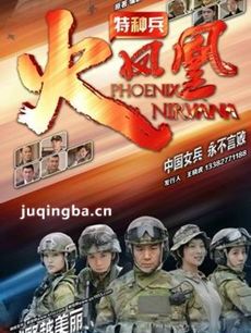 我是特种兵3之火凤凰剧情介绍(1-62全集)海报