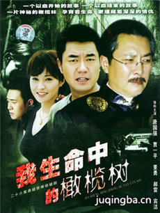 我生命中的橄榄树剧情介绍(1-23全集)海报