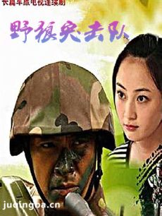 电视剧《野狼突击队》剧情介绍(1-28全集)海报