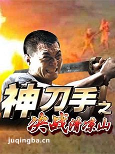 电视剧决战清凉山剧情介绍(1-37全集)海报