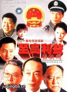至高利益剧情介绍(1-20全集)海报