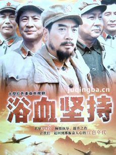 电视剧浴血坚持剧情介绍(1-22全集)海报