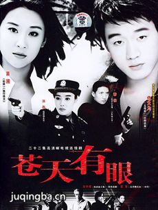 电视剧《苍天有眼》剧情介绍(1-20全集)海报