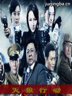 灭狼行动剧情介绍(1-30全集)海报