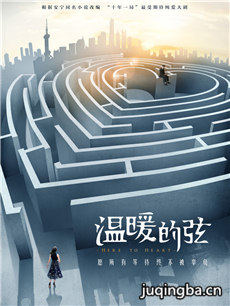 温暖的弦剧情介绍(1-47全集)海报