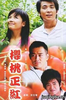 樱桃正红剧情介绍(1-22全集)海报