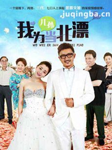 我为儿孙当北漂剧情介绍(1-41全集)海报
