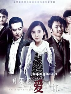对不起爱上你剧情介绍(1-50全集)海报