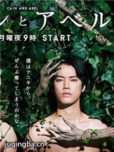 日剧该隐与亚伯剧情介绍(1-全集)海报