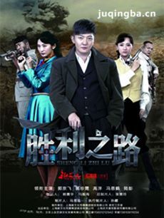 电视剧胜利之路剧情介绍(1-30全集)海报