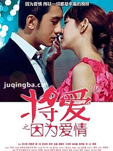 将爱之因为爱情剧情介绍海报