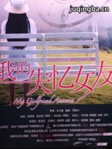 我的失忆女友剧情介绍(1-30全集)海报