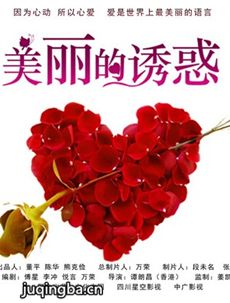 美丽的诱惑剧情介绍(1-30全集)海报
