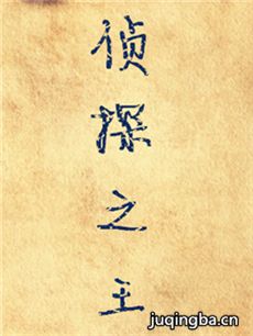 电视剧《侦探之王》剧情介绍(1-28全集)海报