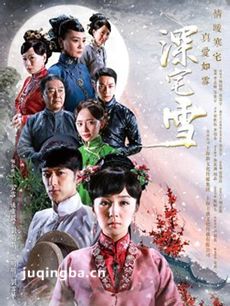 深宅雪剧情介绍(1-48全集)海报