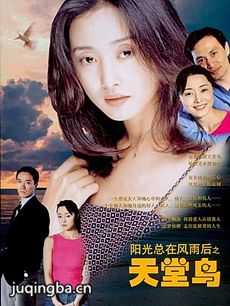 电视剧《天堂鸟》剧情介绍(1-20全集)海报
