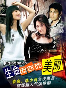 生命因你而美丽剧情介绍(1-20全集)海报