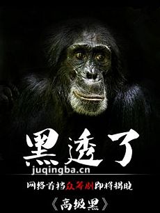 电视剧高级黑剧情介绍(1-10全集)海报