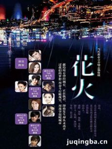 电视剧《花火》剧情介绍(1-28全集)海报