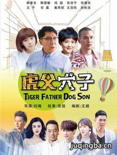 虎父犬子剧情介绍(1-48全集)海报