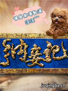 纳妾记第二季