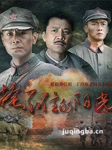 掩不住的阳光剧情介绍(1-35全集)海报
