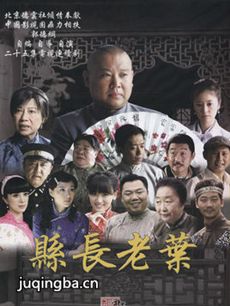 电视剧《县长老叶》剧情介绍(1-25全集)海报