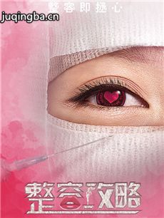 整容攻略剧情介绍(1-15全集)海报