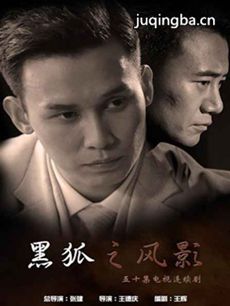 黑狐之风影剧情介绍(1-42全集)海报