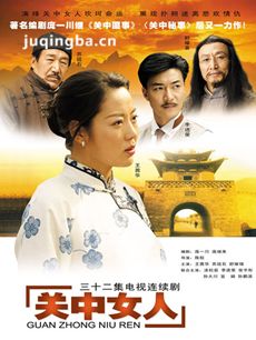 关中女人剧情介绍(1-32全集)海报