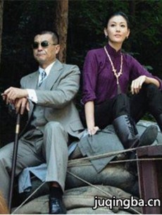 家国恩仇记剧情介绍(1-50全集)海报