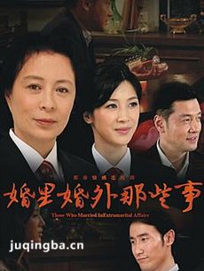 婚里婚外那些事剧情介绍(1-30全集)海报
