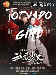 旋风少女第二季剧情介绍_旋风少女第二季剧海报